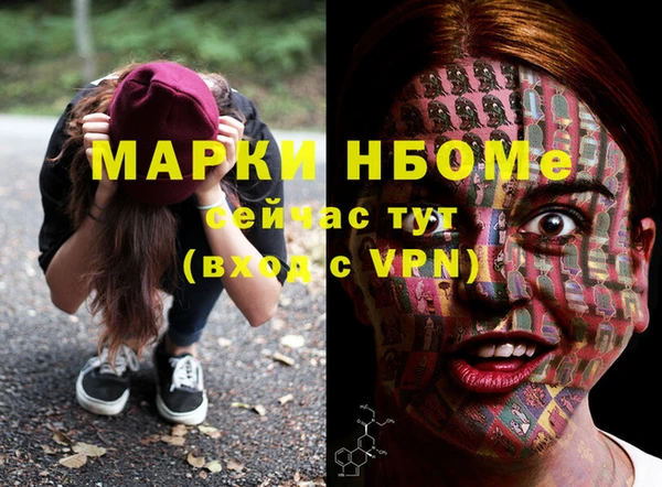 СК Алексин