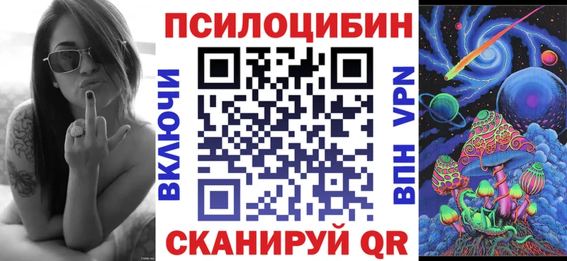 МЕГА маркетплейс  Катайск  Псилоцибиновые грибы Psilocybine cubensis 